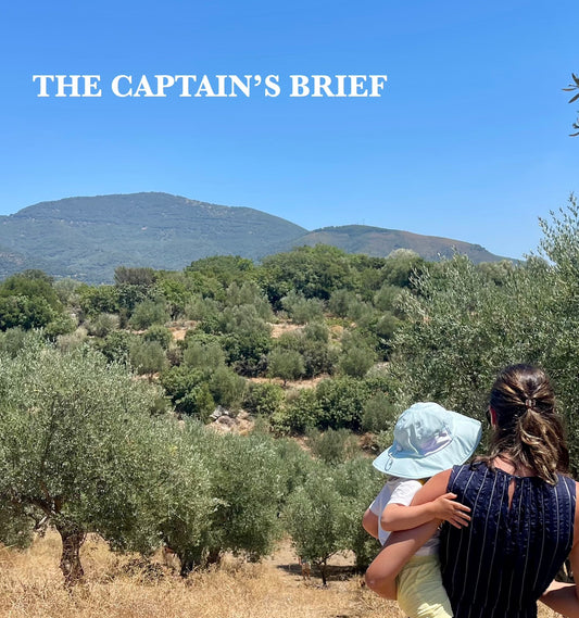 Founder of Single Source Harvest inspecting Koroneiki olive trees in the groves in Peloponnese, Greece